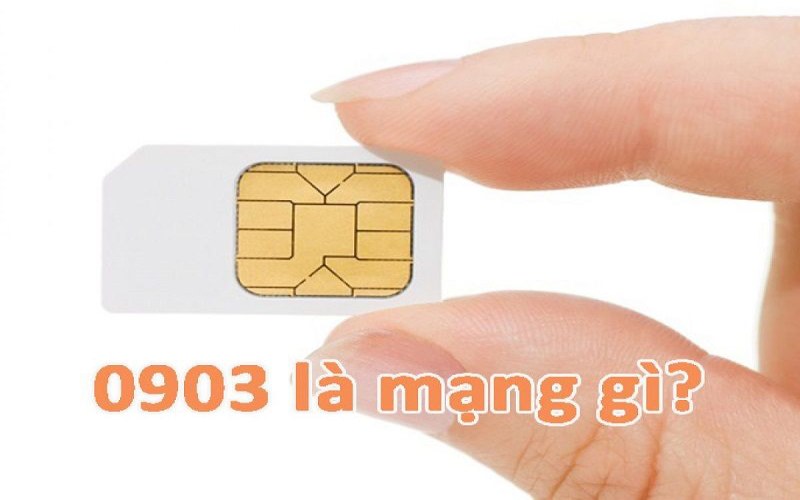 Đầu số 0903 là mạng gì? Có đẹp không?