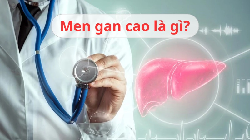 Men gan cao là gì và nguy hiểm không? Làm gì khi men gan cao?