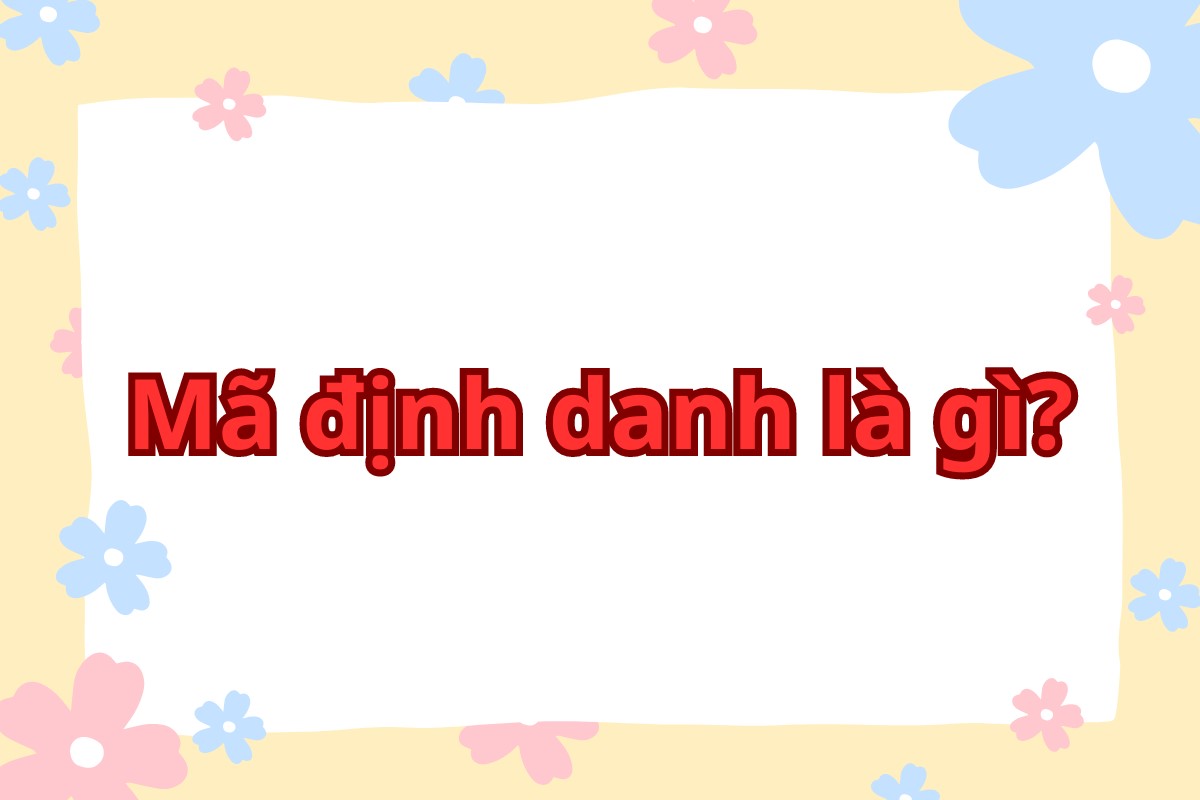 Mã định danh là gì? Vì sao phải làm đinh danh cá nhân?